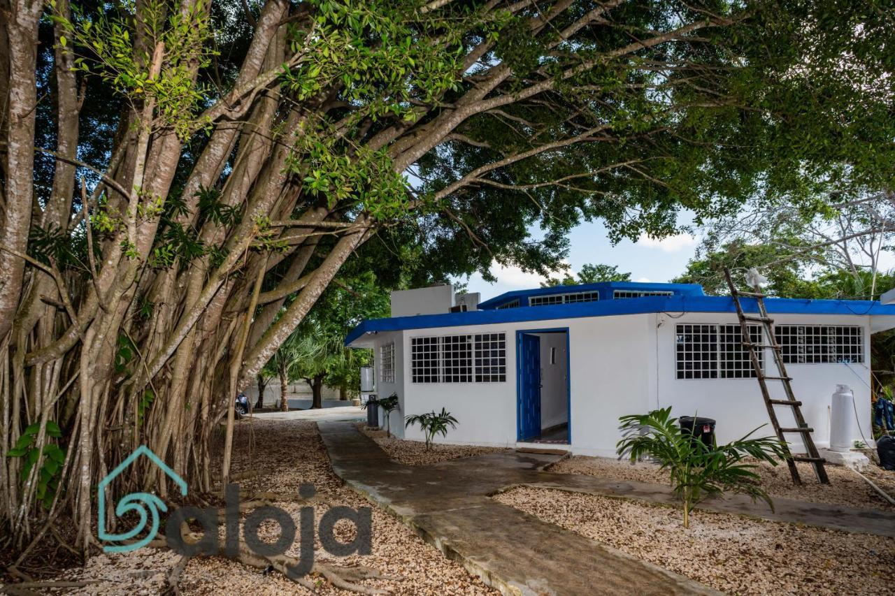 Villa Xtohil With Private Access To The Magic 7 Colors Lagoon 바칼라르 외부 사진