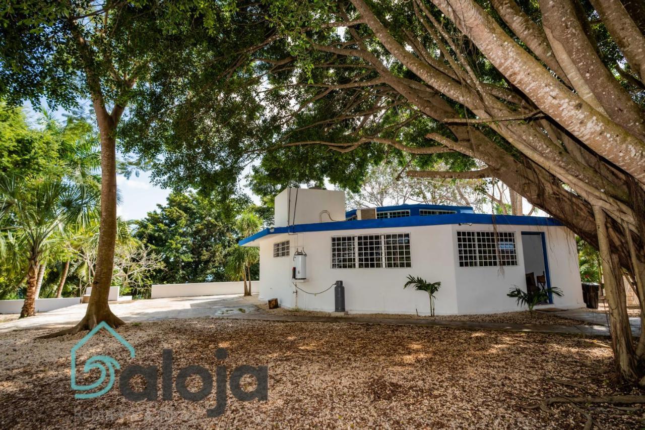 Villa Xtohil With Private Access To The Magic 7 Colors Lagoon 바칼라르 외부 사진